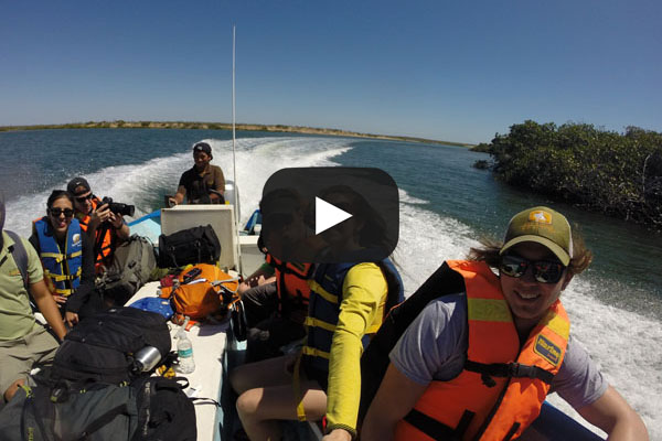 Baja California Sur Nature and Sea Turtles