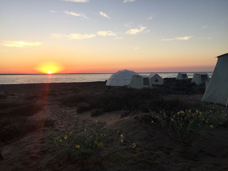 Whale Camp Baja