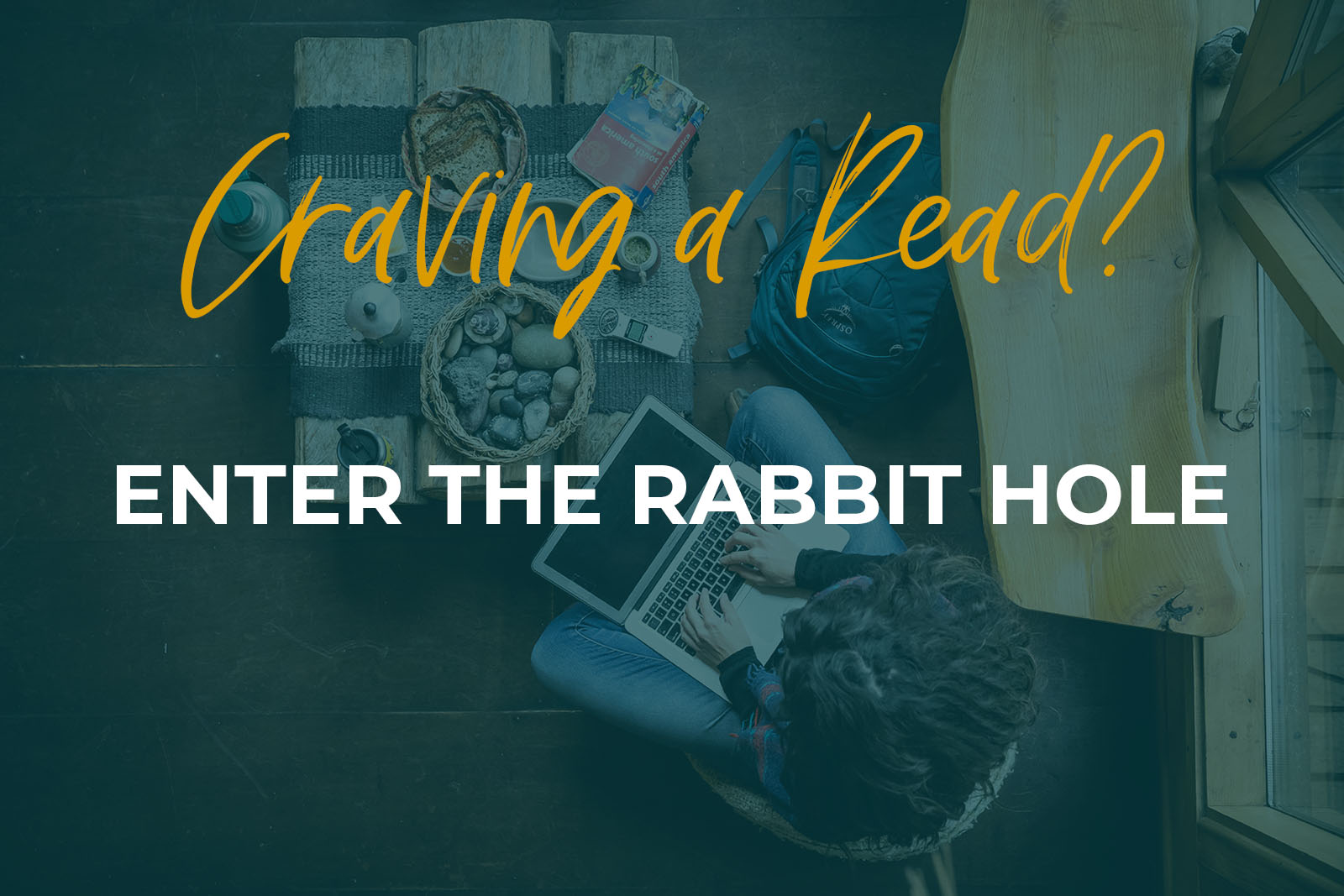 Read the blog
